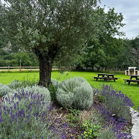 Nasares 3 Apartment *